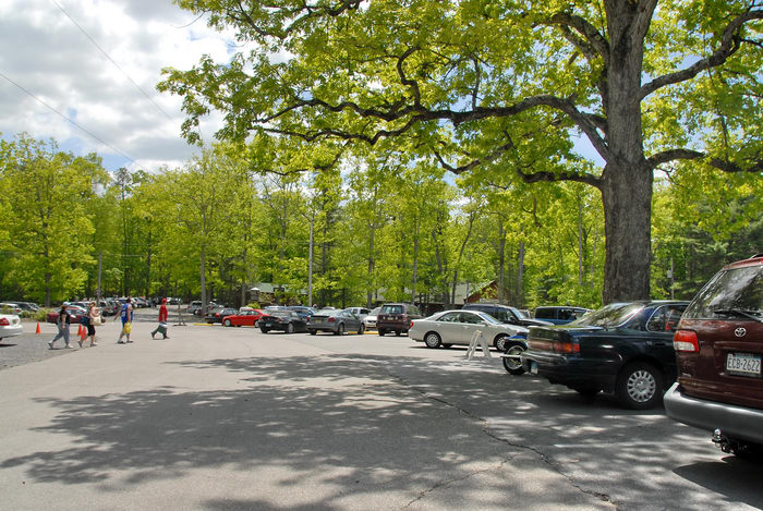 cars, parking, people, trees
