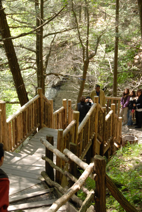 forest, people, railing, stairs, trees, woods