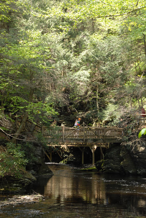 bridge, forest, people, railing, river, trees, wooden walkway, woods