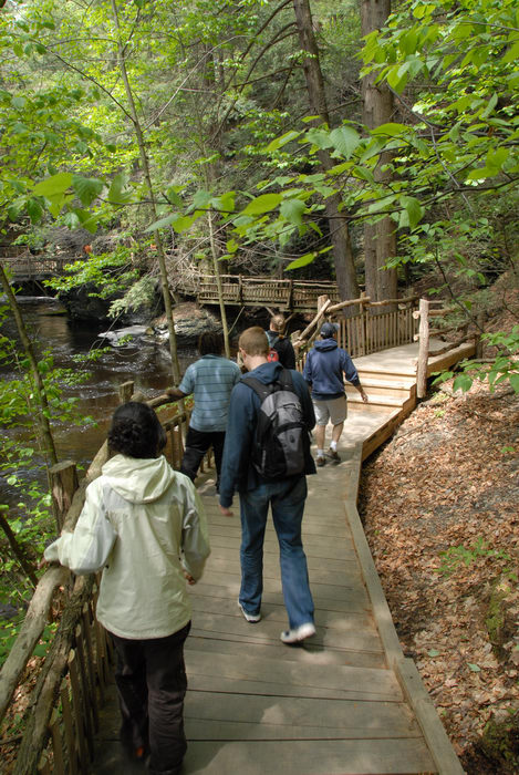 bridge, forest, people, stairs, trees, wooden walkway, woods