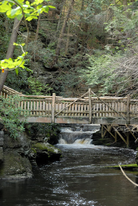 bridge, forest, railing, river, trees, waterfall, wooden walkway, woods