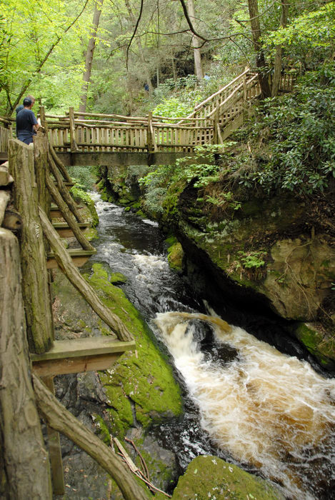 bridge, cliff, forest, river, rock, trees, waterfall, wooden walkway, woods