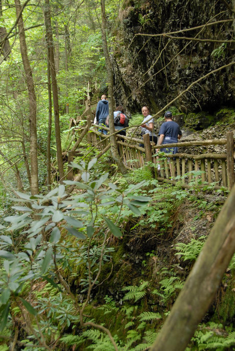 cliff, forest, people, rock, trees, wooden walkway, woods