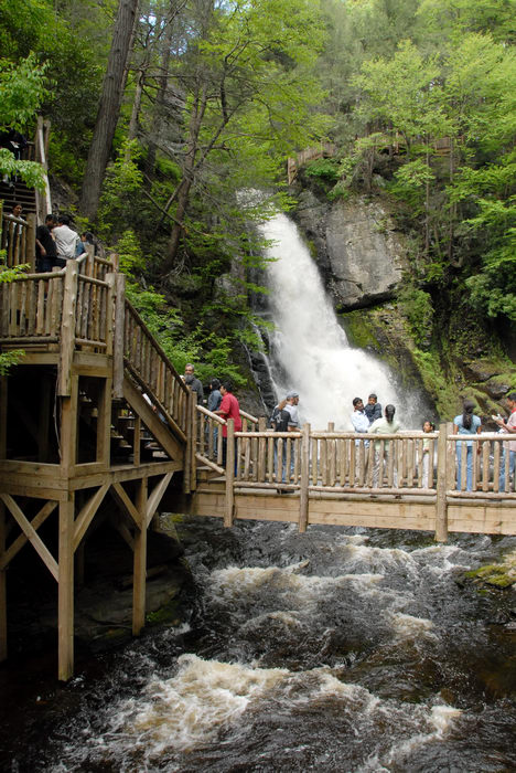 bridge, cliff, forest, people, railing, river, rock, stairs, trees, waterfall, wooden walkway, woods