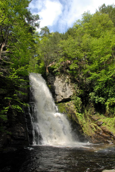 cliff, forest, river, rock, trees, waterfall, woods