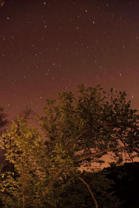 night shot, space, stars, trees