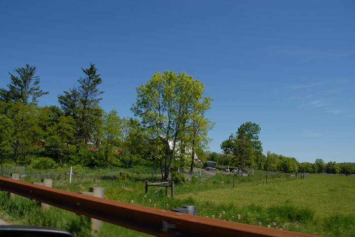 blue sky, fence, grass, guardrail, trees