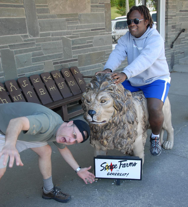 Rob, lion, sign, statue