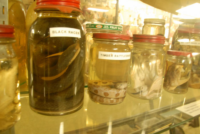 exhibit, jars
