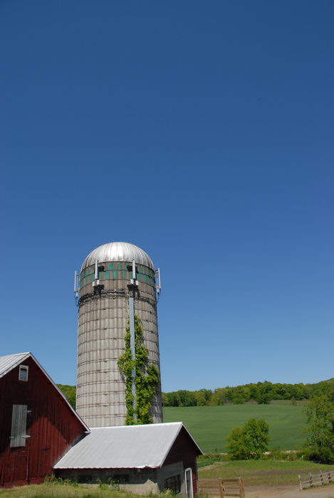 barn, blue sky, farm, field, grass, silo