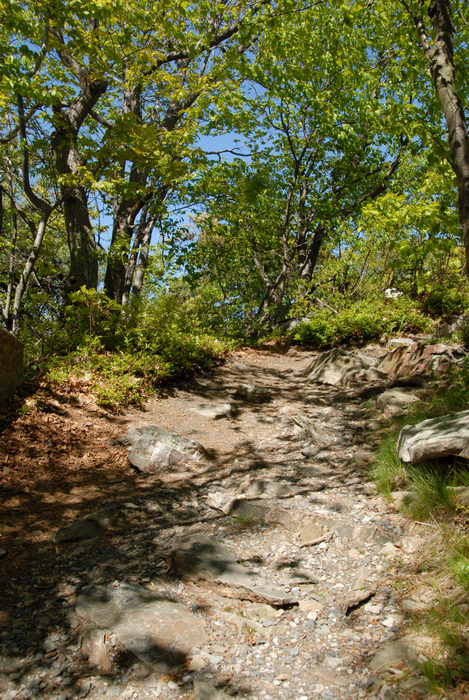blue sky, path, rocks, trees