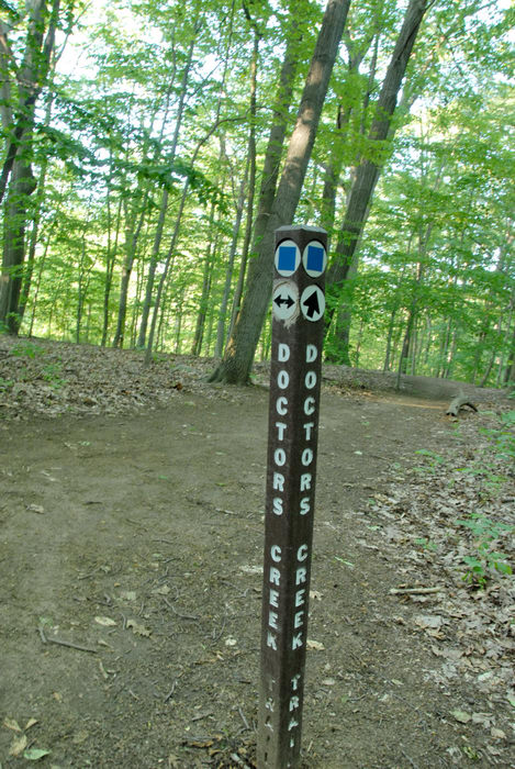 trail, trail marker, woods