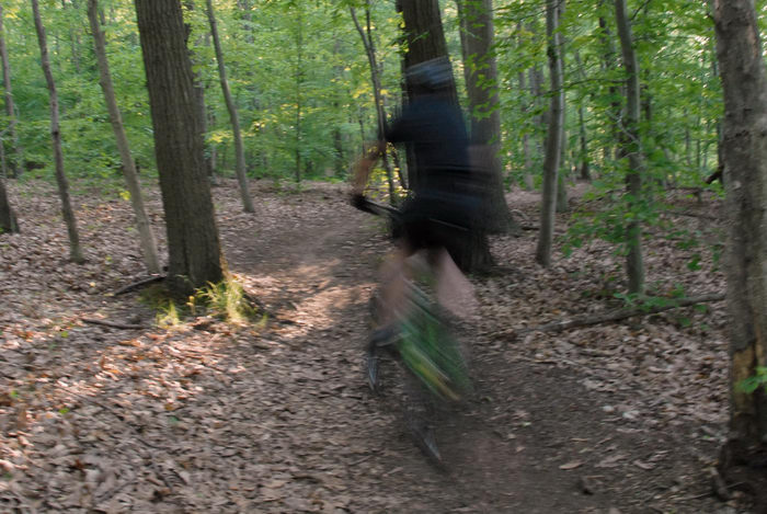 mountain biker, path, trail, tree, woods