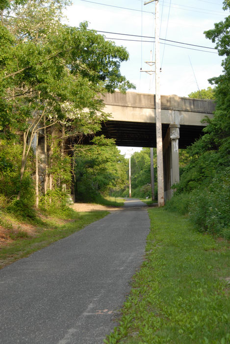 bike path, bridge, grass, telephone pole, trees