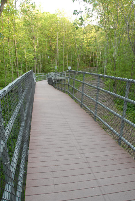 bridge, fence, railings, trees