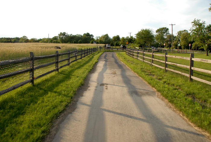 bike path, fence, grass, trees