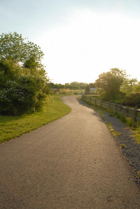 bike path, fence, grass, sunset, trees
