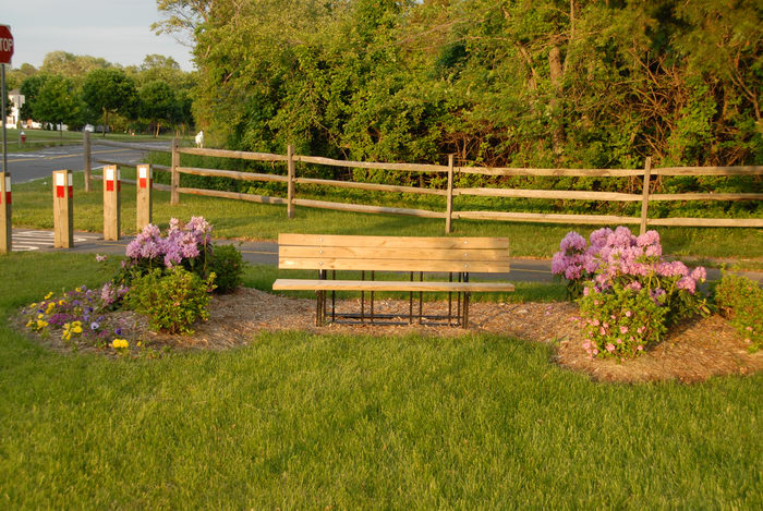 bench, dirt, fence, flowers, grass, trees