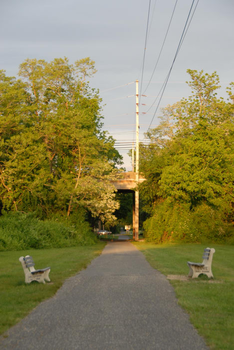 bike path, bridge, grass, telephone pole, trees