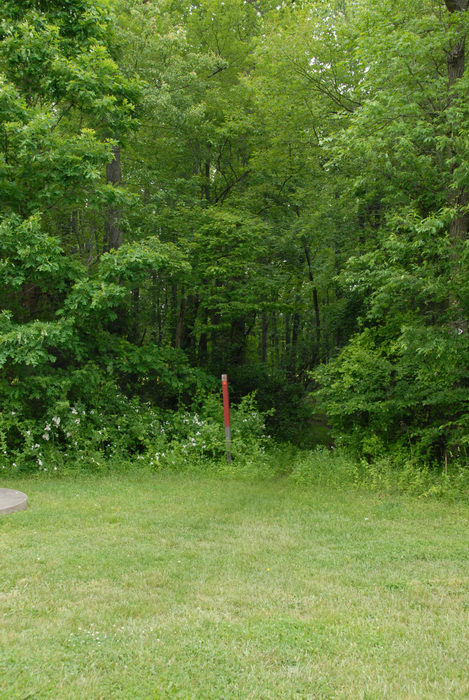 grass, trail marker, woods