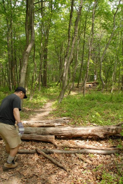 S.M.A.R.T., SMART, ground cover, log pile, path, tools, trail, trail maintenance, trees, woods