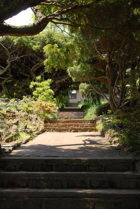 bushes, ground cover, leaves, path, stairs, steps, trees, walkway, rocks