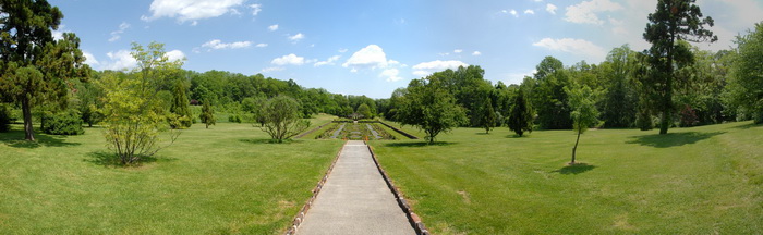 bushes, ground cover, leaves, panoramic, path, trees, walkway, blue sky