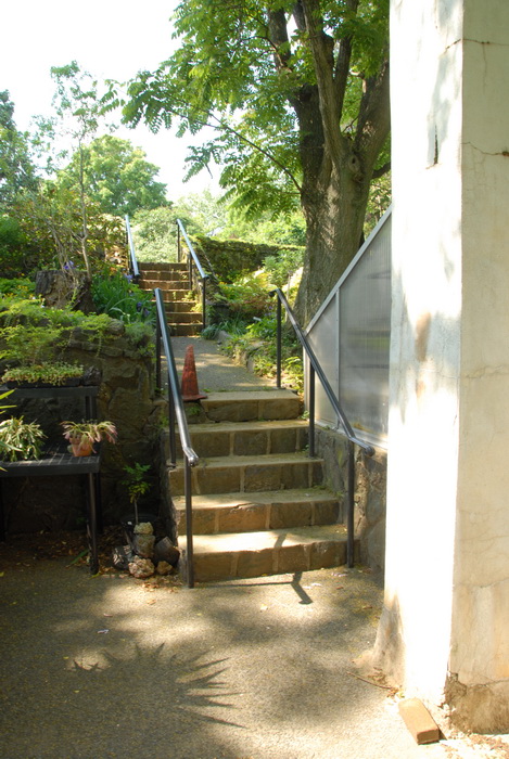 leaves, stairs, steps, trees, bushes, ground cover
