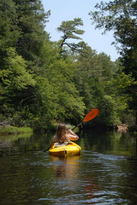 kayak, kayaking, paddling, river, trees, water, Jackie