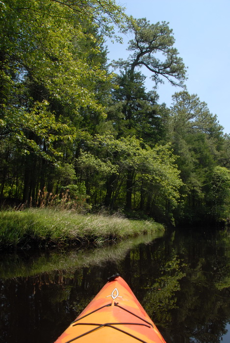 blue sky, kayak, kayaking, paddling, river, trees, water, grass