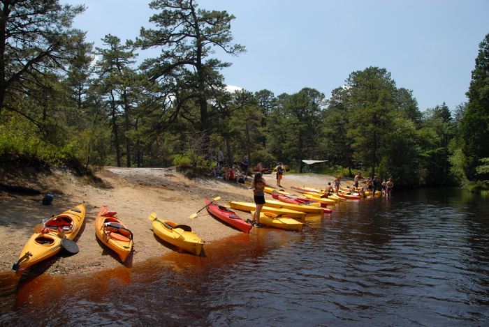 beach, blue sky, kayak, kayaking, paddling, river, water, trees