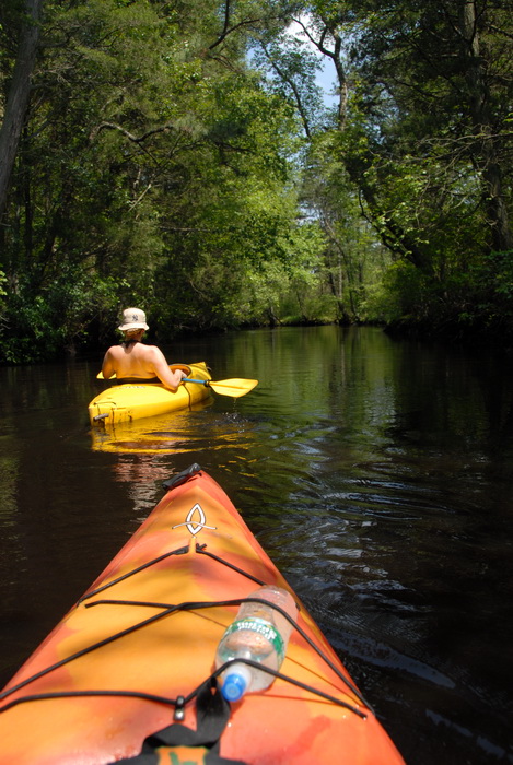 kayak, kayaking, paddling, river, water, trees