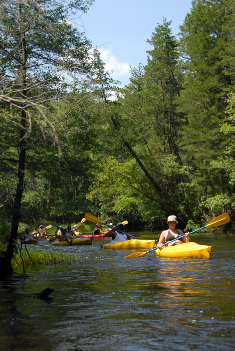 blue sky, kayak, kayaking, paddling, river, trees, water, grass