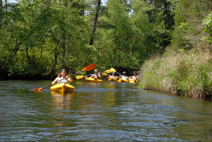 Jackie, kayak, kayaking, paddling, river, trees, water, grass