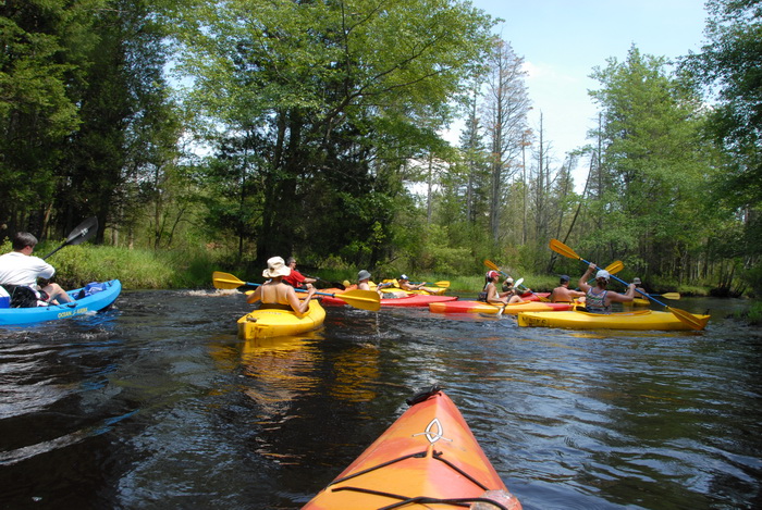 kayak, kayaking, paddling, river, trees, water, grass