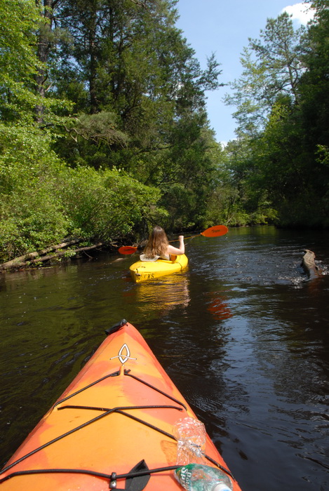 kayak, kayaking, paddling, river, trees, water, Jackie