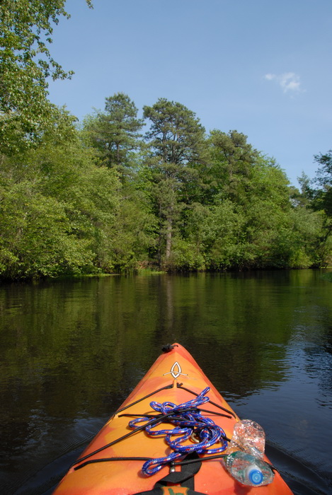 blue sky, kayak, kayaking, paddling, river, water, trees