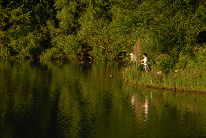 lake, pond, trees, water, bank, fishing