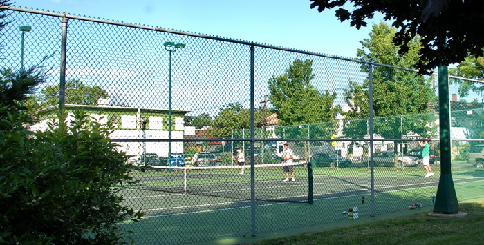 tennis court, fence, bush, trees