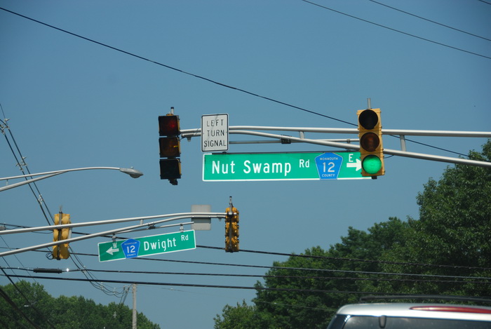 street sign, Nut Swamp