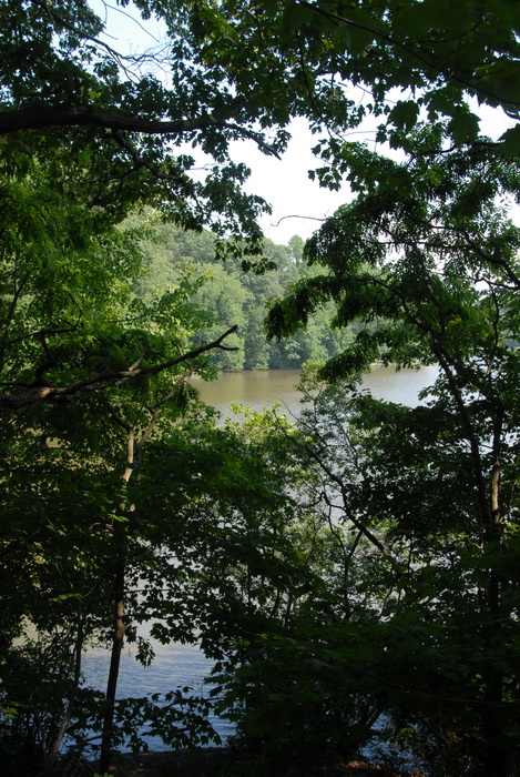 lake, pond, trees