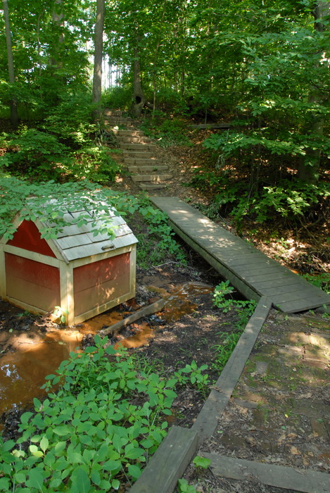 boardwalk, ground cover, shed, stairs, stream, trees, woods