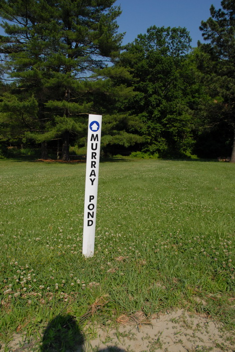 trees, grass, trail sign, trail marker