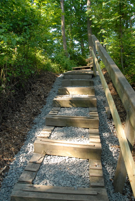 railing, stairs, steps, trees, woods