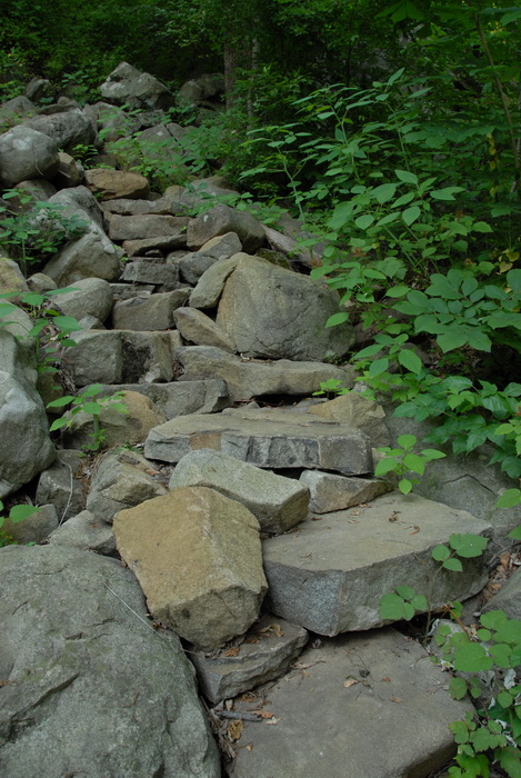 ground cover, rock steps, rocks, trail, trees, woods