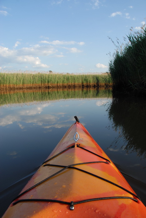 blue sky, kayak, reeds, river, water