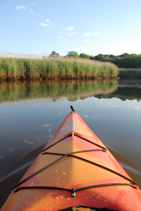 blue sky, kayak, reeds, river, water