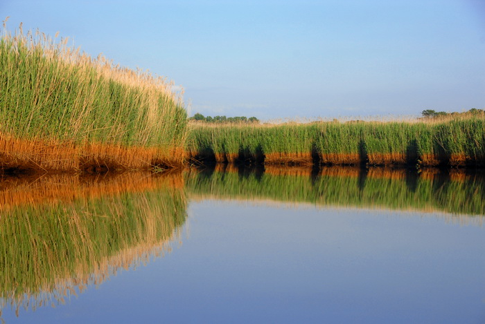 blue sky, kayak, reeds, river, water, reflection