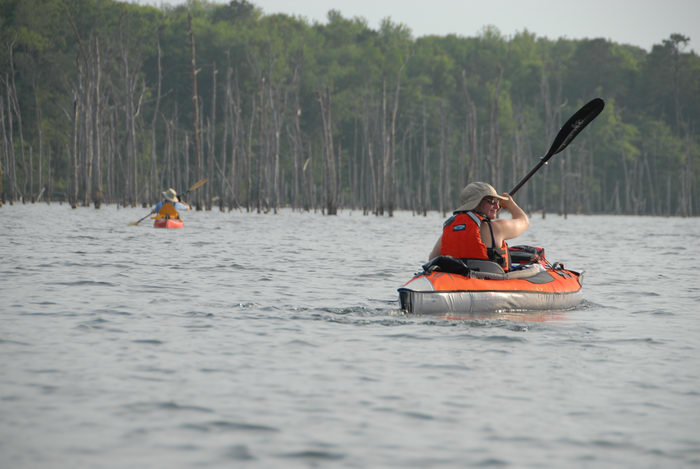 JSSKA, dead trees, kayak, kayaking, lake, paddling, people, reservoir, trees, water