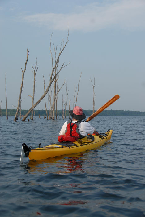 JSSKA, dead trees, kayak, kayaking, lake, paddling, people, reservoir, trees, water